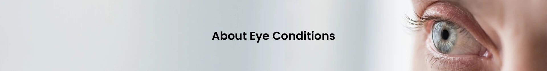 Eyes on Brickell: About Eye Conditions Web