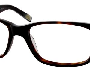 Eyes on Brickell: Videre -VIDERE CARLO Dark Tortoise