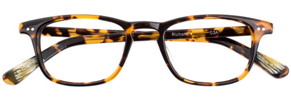 Eyes on Brickell: Videre - VIDERE RICHARD Dark Tortoise