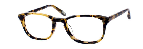 Eyes on Brickell: Videre -VIDERE HAYDEN Classic Tortoise