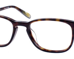 Eyes on Brickell: Videre -VIDERE HAYDEN Dark Tortoise