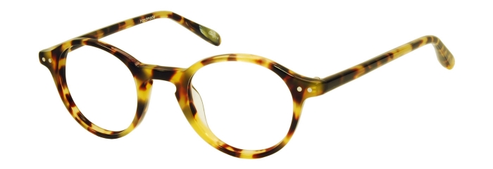 Eyes on Brickell Videre – VIDERE JAMES Classic Tortoise