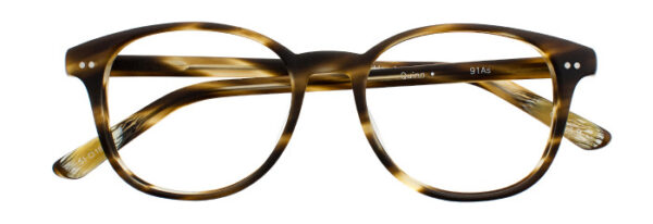 Eyes on Brickell: Videre - VIDERE QUINCY Matte Dark Olive Tortoise