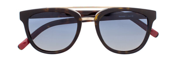 Eyes on Brickell: Videre - VIDERE RANDOLPH Dark Tortoise