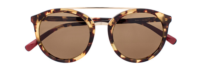 Eyes on Brickell Videre – VIDERE ROBIN Tortoise