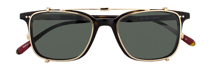 Eyes on Brickell Videre -VIDERE SAM Dark Olive Tortoise