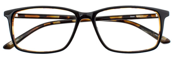 Eyes on Brickell: Videre - VIDERE SEAN Black Tortoise