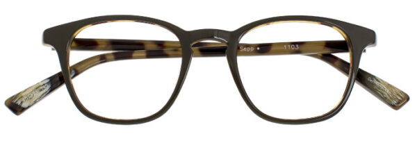 Eyes on Brickell: Videre - VIDERE SEPP Olive Tortoise Classic