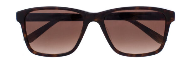 Eyes on Brickell: Videre - VIDERE TIM Dark Tortoise