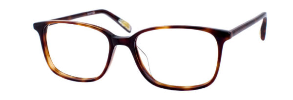 Eyes on Brickell: Videre -VIDERE TONY Dark Tortoise