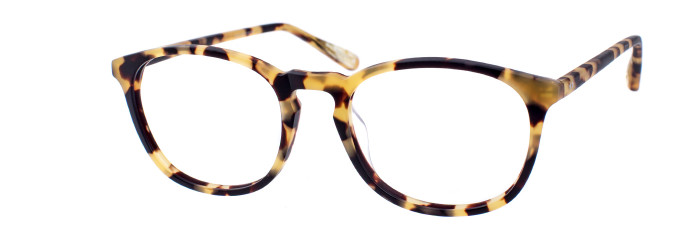 Eyes on Brickell Videre -VIDERE TYLER Classic Tortoise