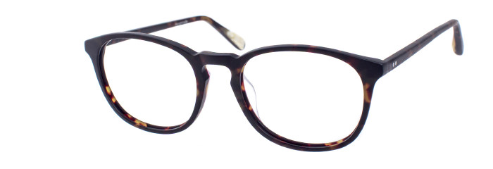 Eyes on Brickell Videre -VIDERE TYLER Dark Tortoise