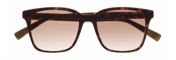 Eyes on Brickell: Videre - VIDERE VALERI Dark Tortoise