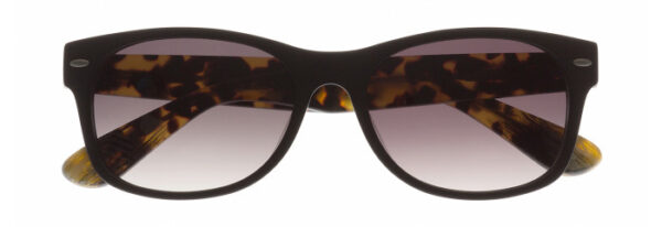 Eyes on Brickell: Videre -VIDERE VICTOR Matte Black/Tortoise