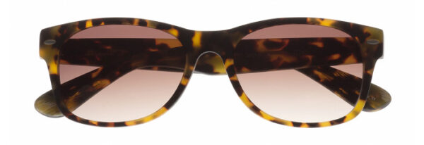 Eyes on Brickell: Videre -VIDERE VICTOR Matte Tortoise Classic