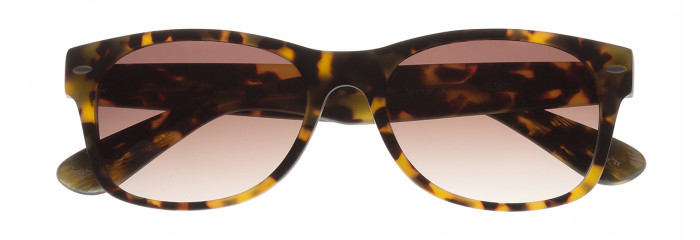 Eyes on Brickell Videre -VIDERE VICTOR Matte Tortoise Classic