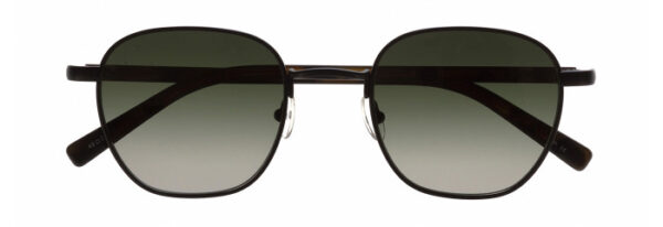 Eyes on Brickell: Videre -VIDERE WALTER Matte Blk/Blk Tort GRN