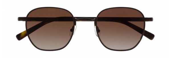 Eyes on Brickell: Videre -VIDERE WALTER Matte Brown/Tortoise BRN