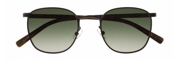 Eyes on Brickell: Videre -VIDERE WAYNE Matte Blk/Blk Tort GRN