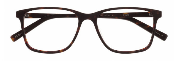 Eyes on Brickell: Videre - VIDERE WINSTON Matte Dark Tortoise